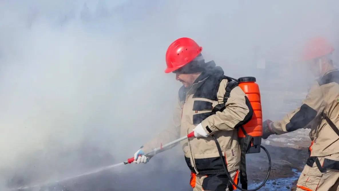 Ямал — Донбассу. Северяне помогут защитить природу от огня