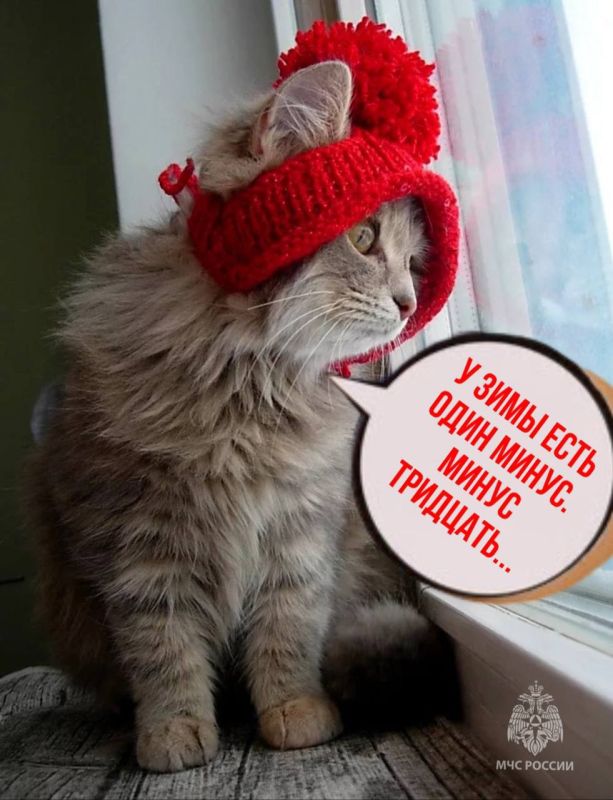 По данным синоптиков 25 ноября на территории округа прогнозируются неблагоприятные погодные явления: