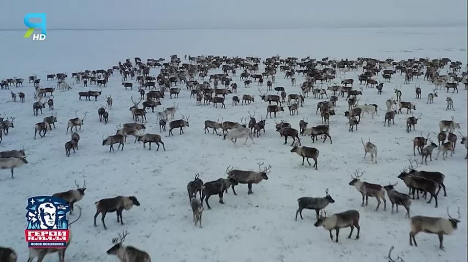 За успехами на фронте стоит надёжный тыл