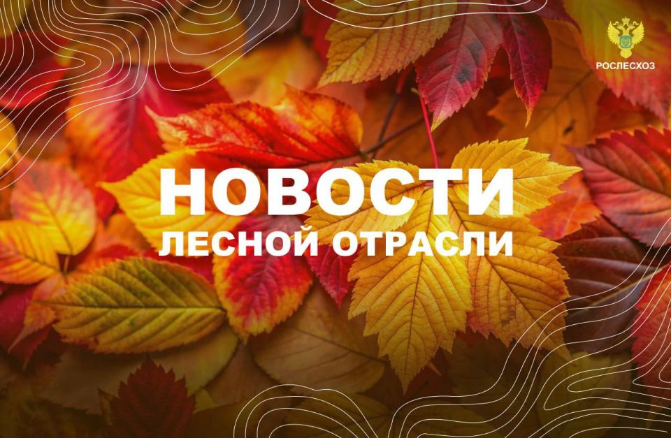 Российская газета: Мантуров провел совещание по развитию отрасли лесного машиностроения