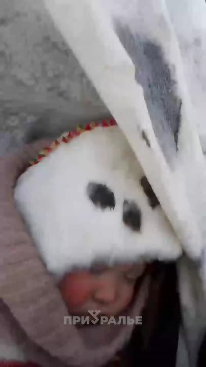 Маленький кочевник отправился с семьей в дальний путь