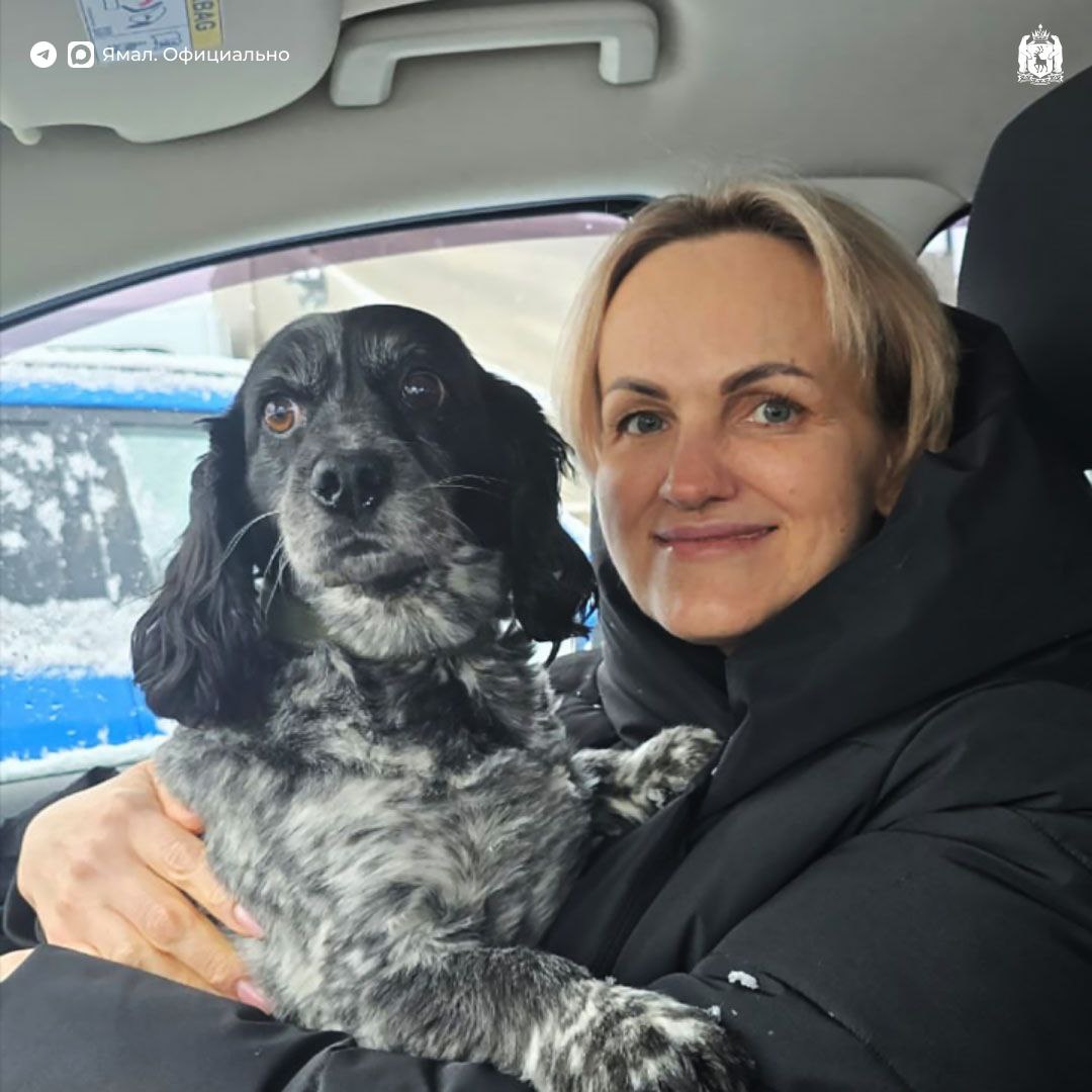 Врачи Муравленко спасли пациента и его четвероногого друга Врачи Муравленко спасли пациента и его четвероногого друга