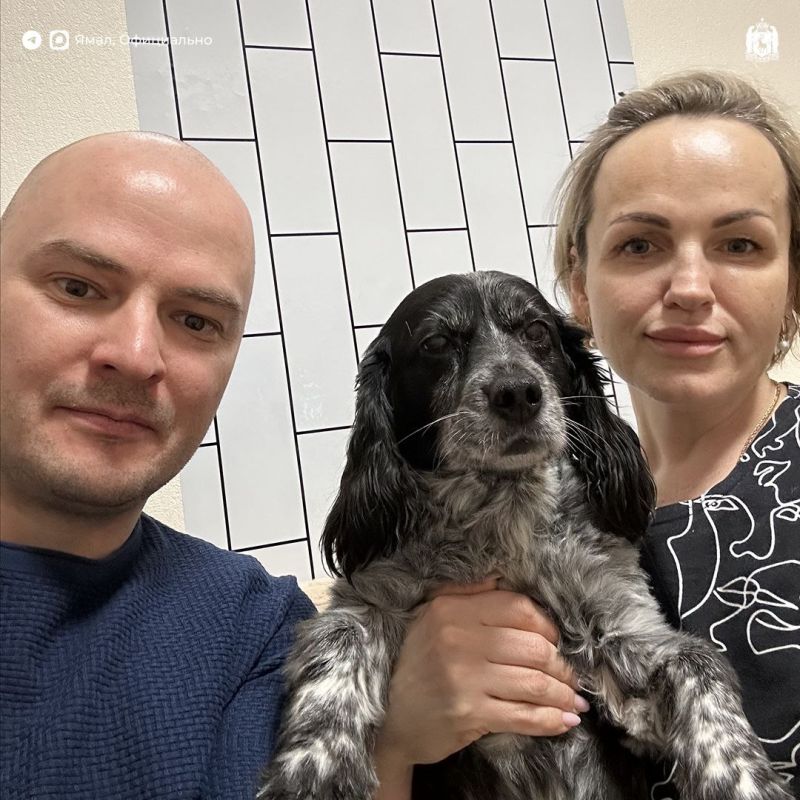 Врачи Муравленко спасли пациента и его четвероногого друга