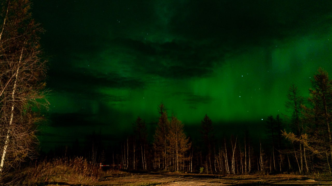 Вместе с сильными морозами на Ямал пришли северные сияния