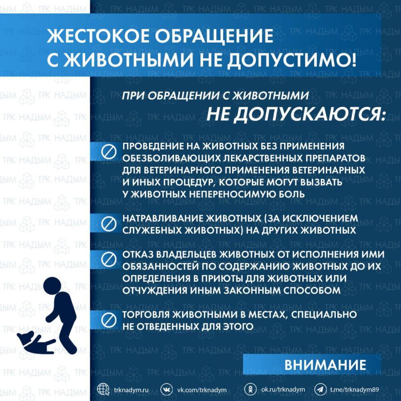 Жестокое обращение с животными недопустимо!