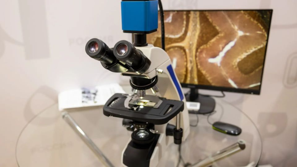 Для них фенотипы и гены — не просто слова