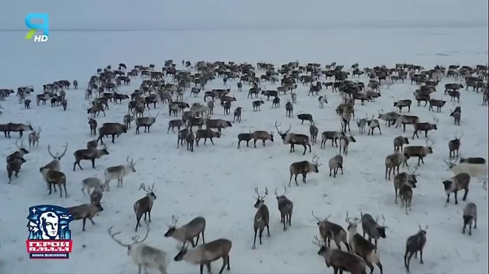 «Им тепло и нам тепло». Алексей Яптик на протяжении нескольких лет помогает бойцам организацией сбора гуманитарной помощи