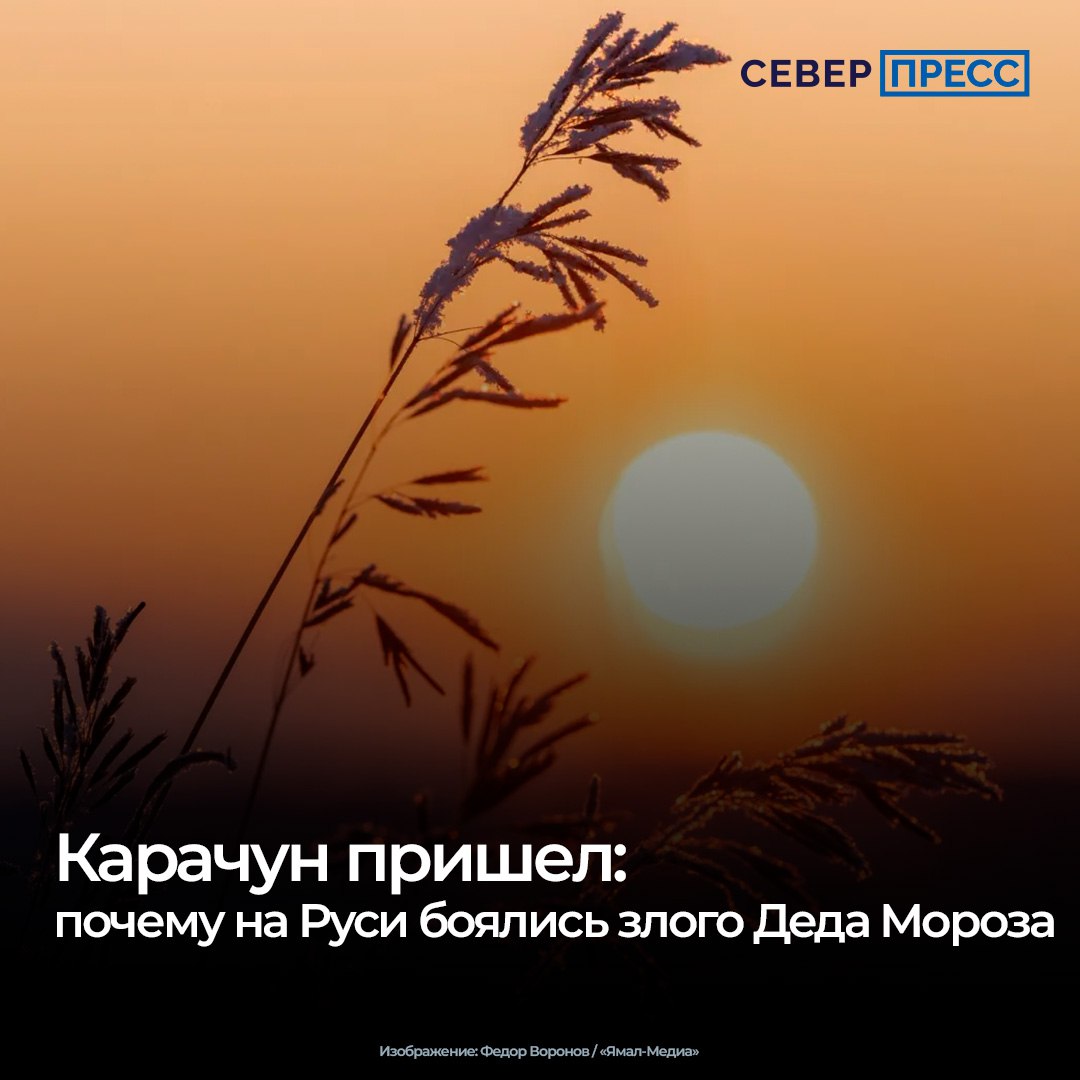 Сказочного персонажа Морозко все знают из детских сказок: это седовласый старец, который приносит снегопады и холодную погоду