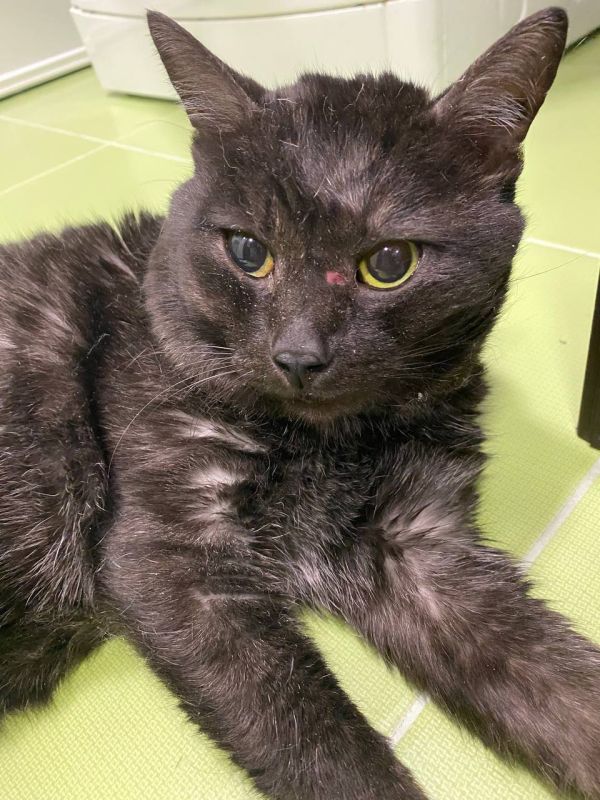 Салехард, фонд «Дорога домой»