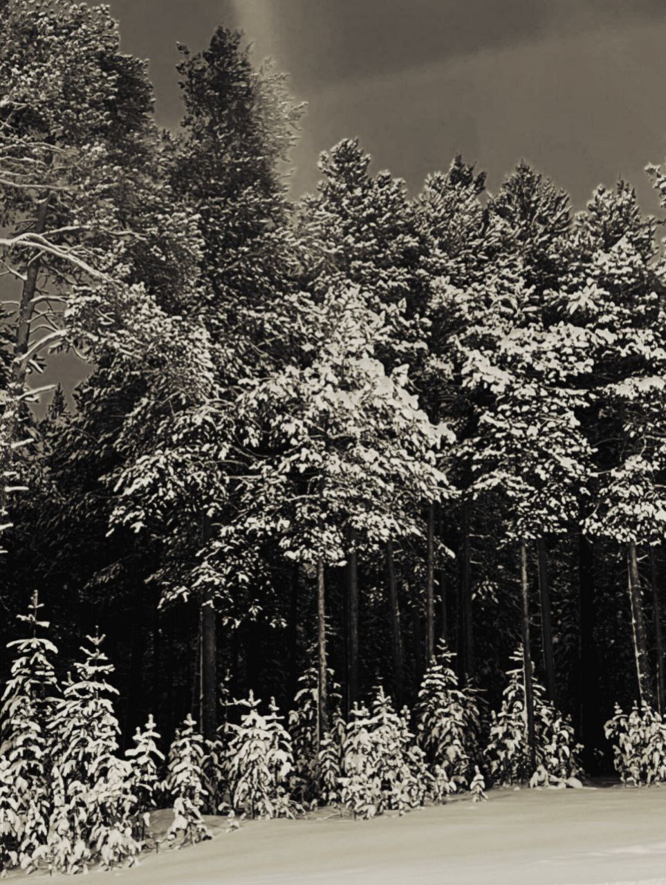 Алексей Романов: Фотография, как отдельный вид искусства Алексей Романов: Фотография, как отдельный вид искусства