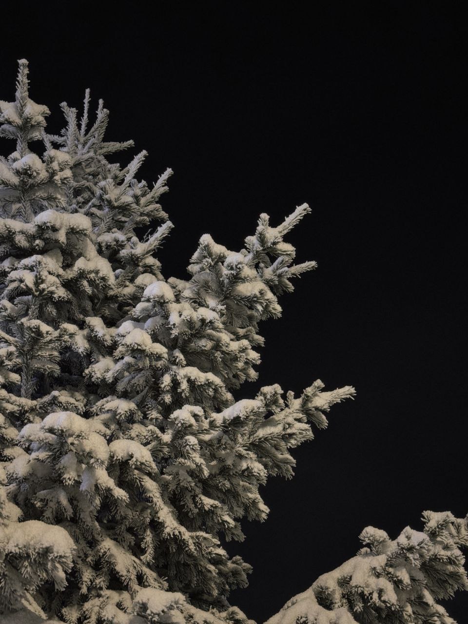 Алексей Романов: Фотография, как отдельный вид искусства Алексей Романов: Фотография, как отдельный вид искусства