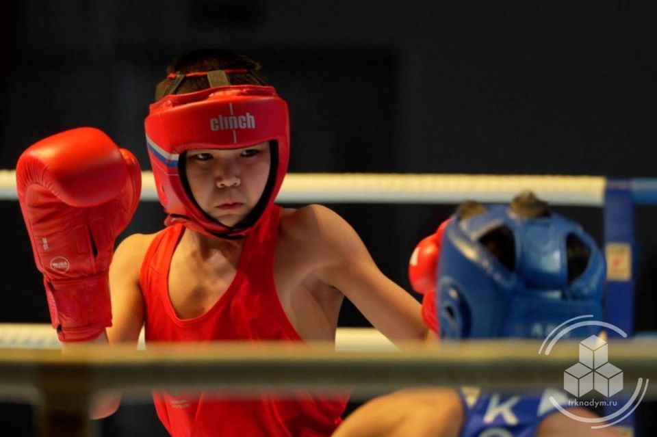 В Надыме стартовал Международный турнир по боксу памяти Владислава Стрижова