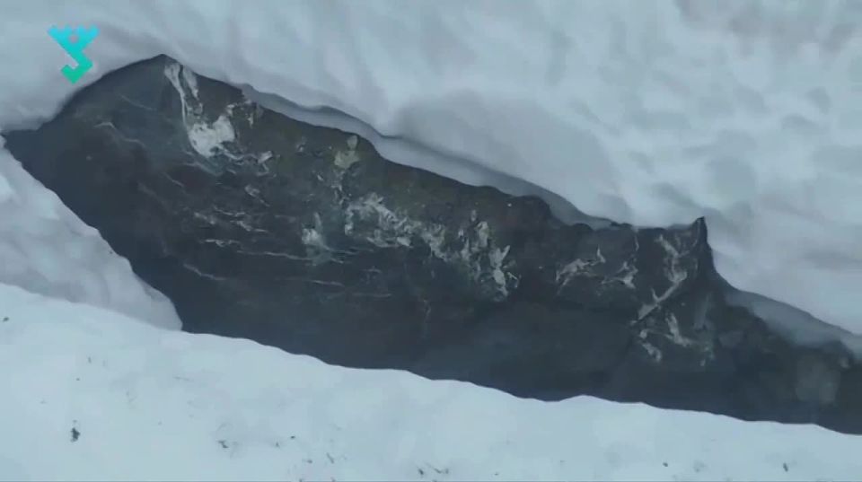 В ледяной ловушке: аргиш кочевников-оленеводов упал в ущелье у горы Саурей
