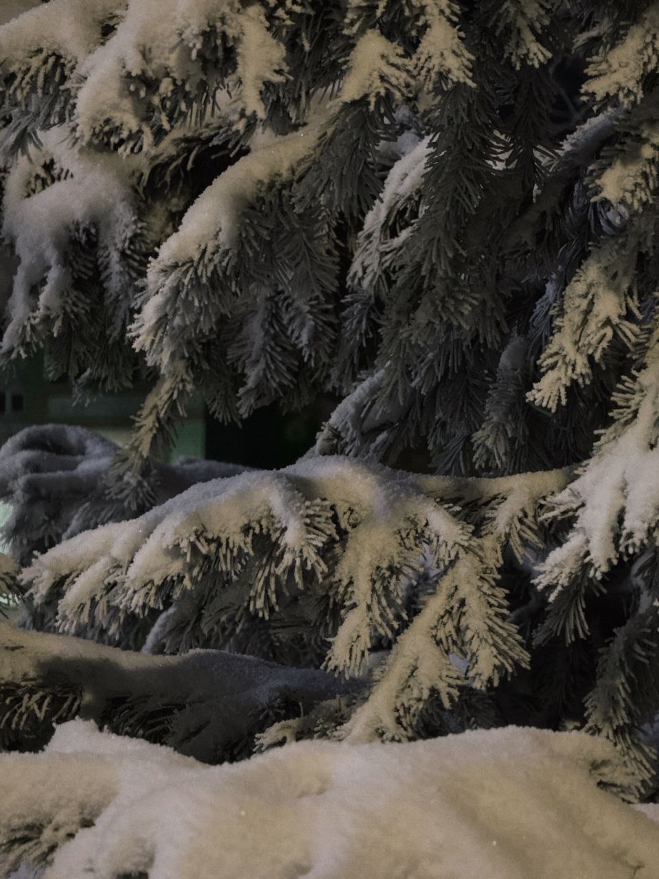 Алексей Романов: Фотография, как отдельный вид искусства Алексей Романов: Фотография, как отдельный вид искусства