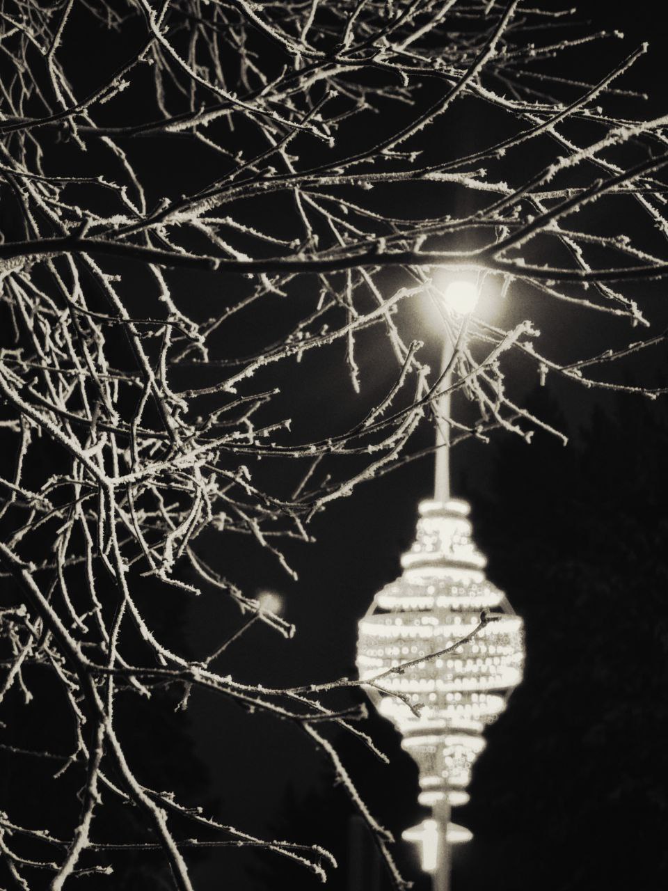 Алексей Романов: Фотография, как отдельный вид искусства Алексей Романов: Фотография, как отдельный вид искусства