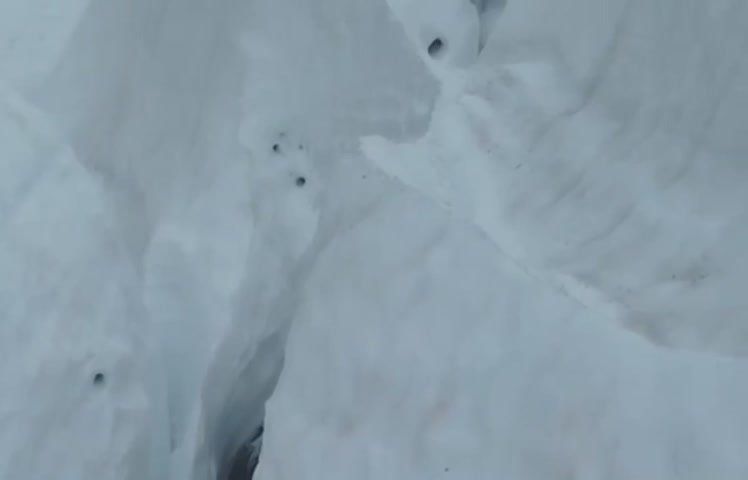 Олени в снежной ловушке у горы Саурей