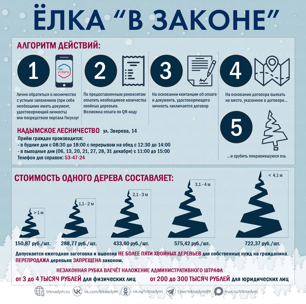 Ещё не начали готовиться к Новому году? Тогда эта информация для вас!