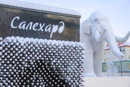   , .    - 16 C  - 12 C,  ,  ,  0-5 /