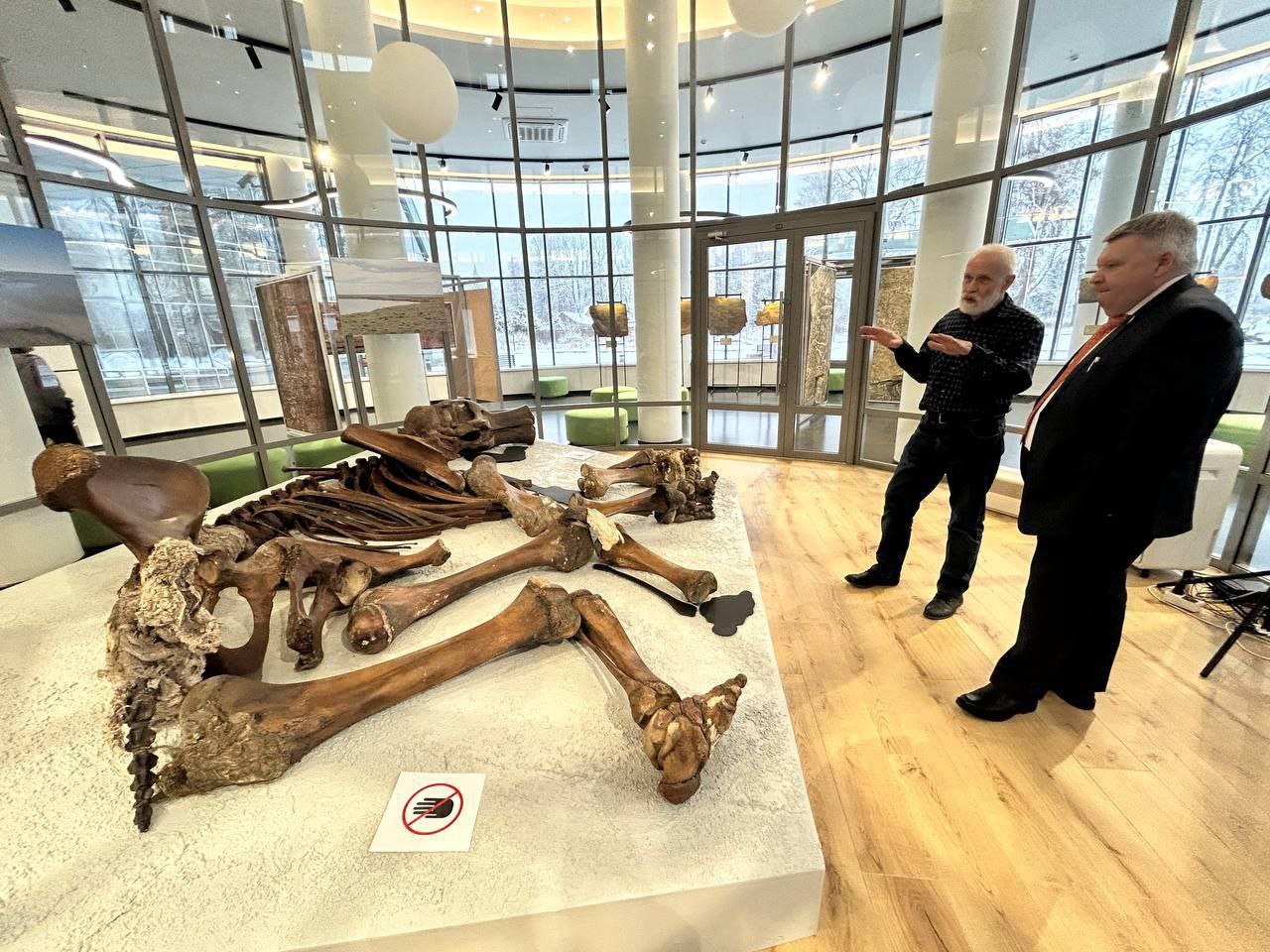 Мамонт Тадибе возвращается на Ямал