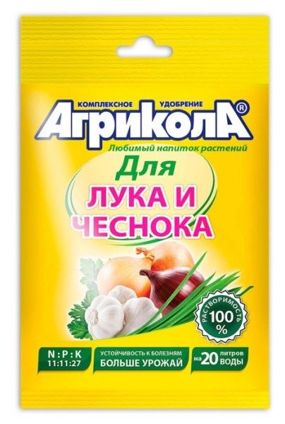 Как правильно подкармливать лук-севок весной и летом для богатого урожая
