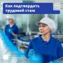 Знай свои права: как подтвердить трудовой стаж для пенсии в 2025 году