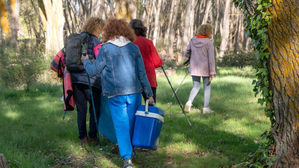 Чтобы не отправиться в больницу сразу после пикника: правила безопасности для отдыхающих