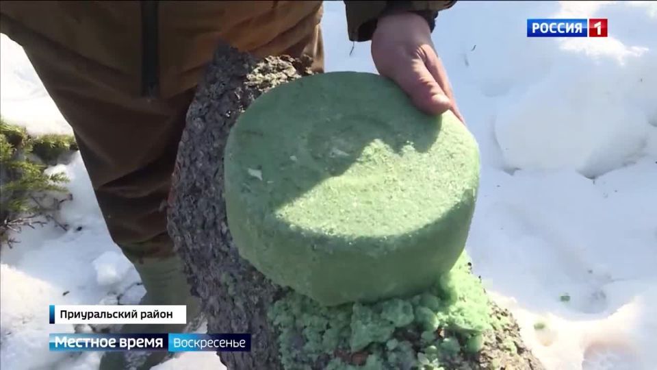 Настало время подвести итоги минувшей недели, и вот чем она запомнилась нашим корреспондентам: