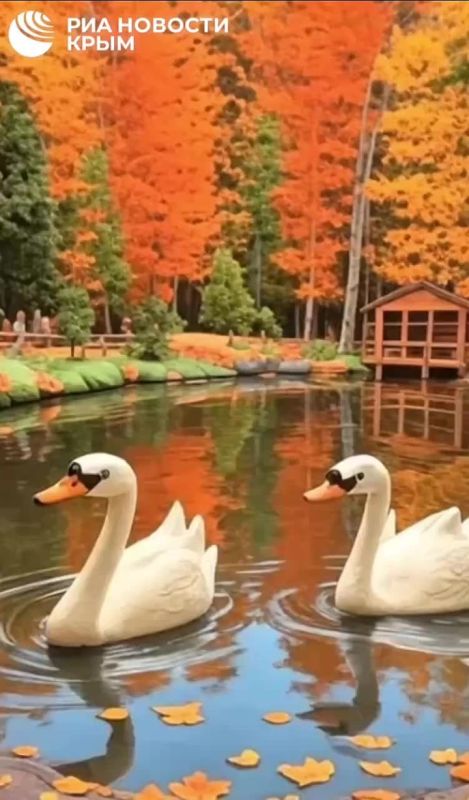 Вот и подошел конец осенней поры в Крыму