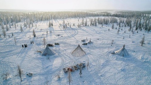 В обновленную дорожную карту Ямала внесли предложения кочевников