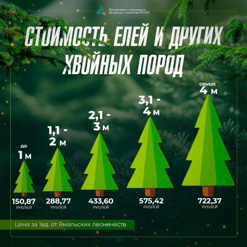 На Ямале стартовала ёлочная кампания