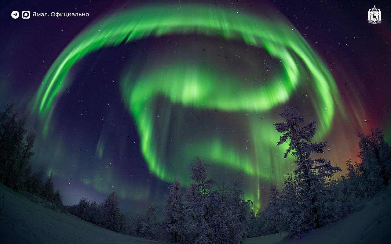 Самые яркие события ноября, запечатлённые на фото Самые яркие события ноября, запечатлённые на фото