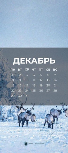 Зимние обои с ямальским настроением для смартфонов и ПК