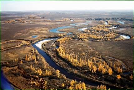 Во всех городах и районах Ямала началась ежегодная акция «Теплый день»