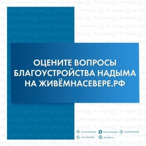 Надымчан приглашают принять участие в решении вопросов благоустройства своего города