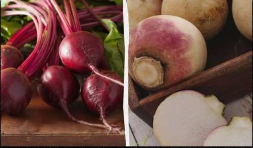 Как сохранить свеклу свежей до весны: простые и эффективные способы