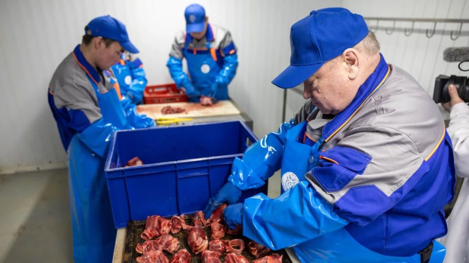 Без пяти минут мясной рекорд