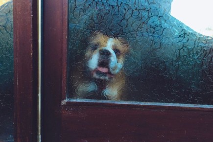 Как эффективно очищать матовое стекло: секреты идеальной чистоты