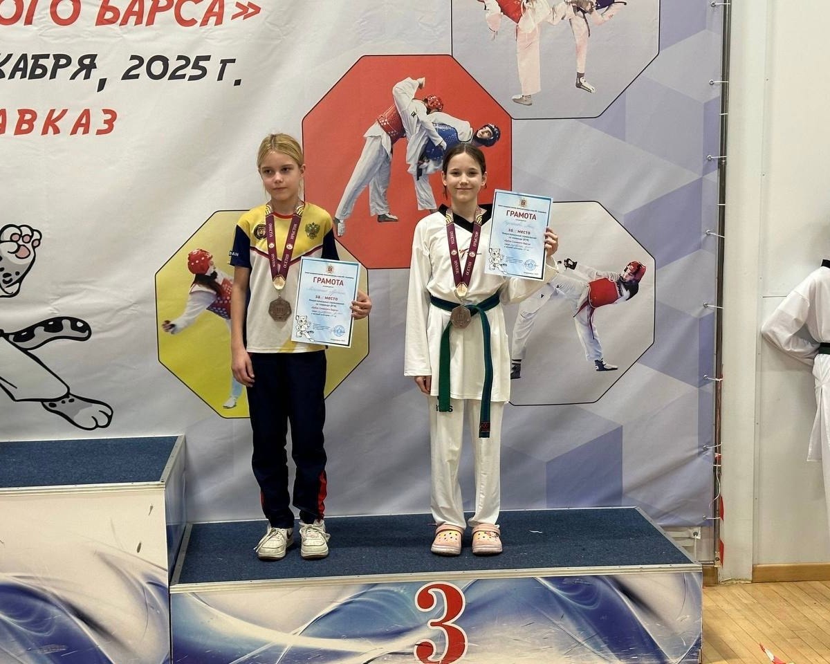 Ноябрьская спортсменка — бронзовый призер межрегиональных соревнований по тхэквондо Ноябрьская спортсменка — бронзовый призер межрегиональных соревнований по тхэквондо