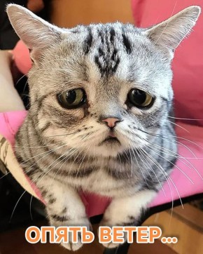 По данным синоптиков 4 декабря на территории округа прогнозируются неблагоприятные погодные явления: