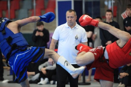 В Лабытнанги подвели итоги региональных соревнований по комплексному единоборству