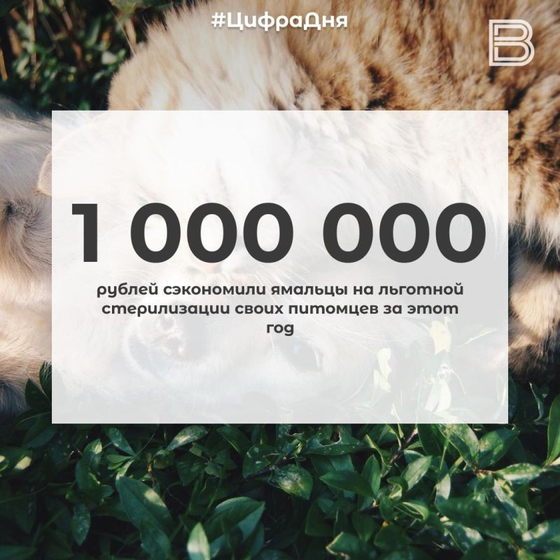 12 1 000 000 рублей сэкономили ямальцы на льготной стерилизации своих питомцев за этот год