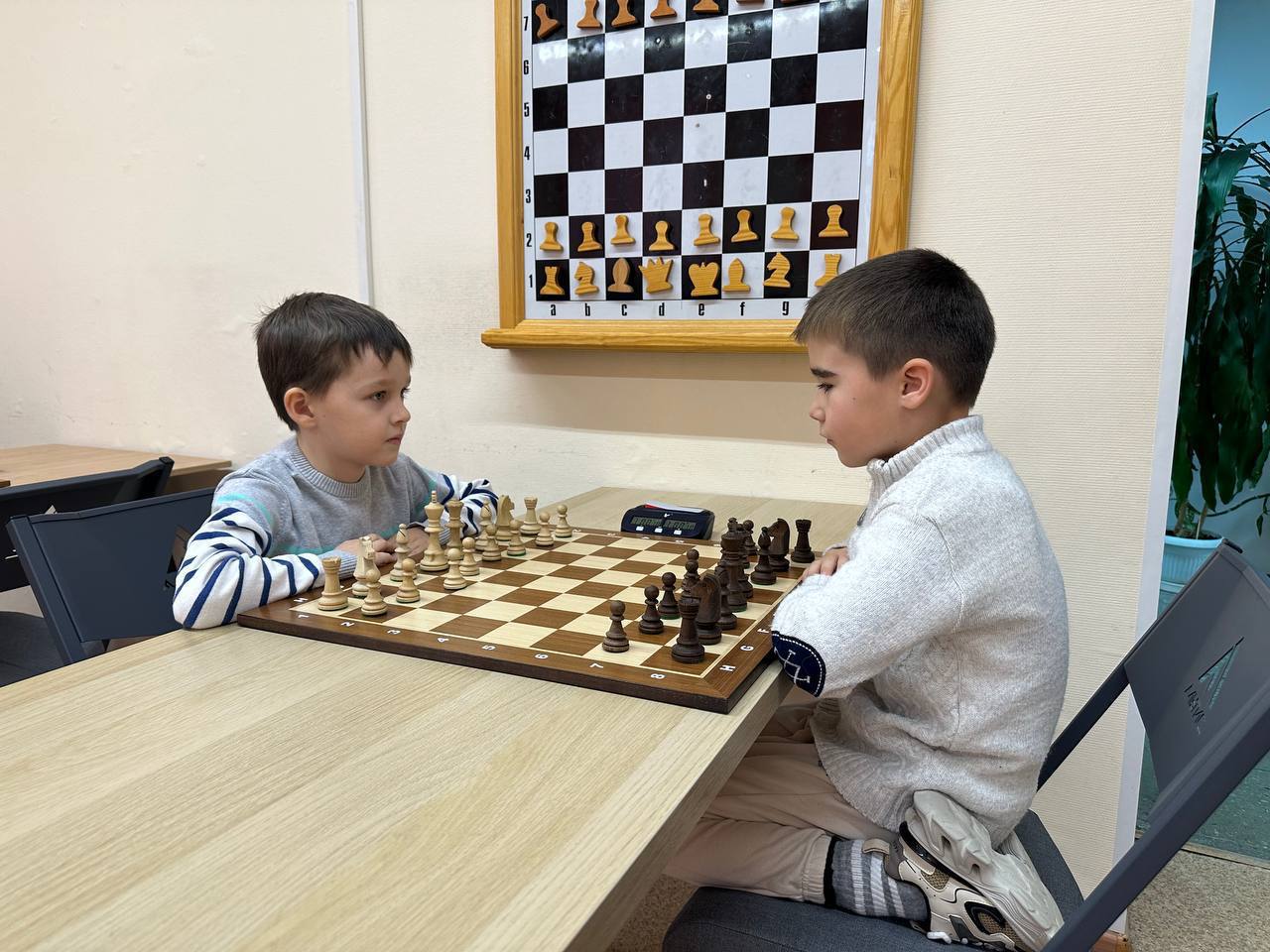 В Ноябрьске завершились региональные соревнования среди самых юных шахматистов В Ноябрьске завершились региональные соревнования среди самых юных шахматистов