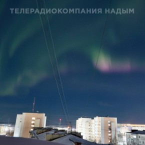 Результат ночной фотоохоты