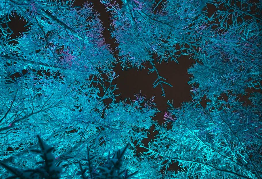 Резкое похолодание: будьте готовы!