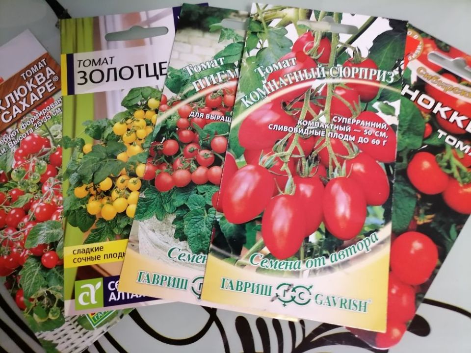 Комнатные томаты: секреты успешного выращивания и ухода в домашних условиях