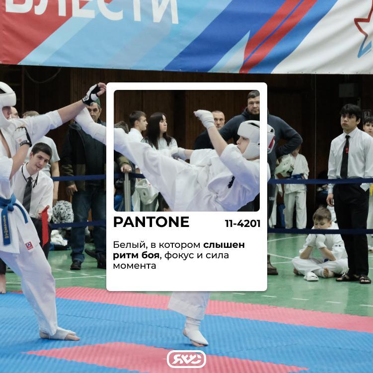 На Севере белый никогда не бывает просто белым На Севере белый никогда не бывает просто белым