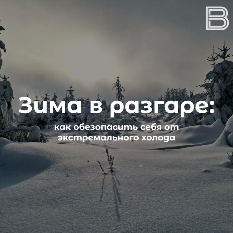 Чтобы мороз был нипочем: как обезопасить себя от экстремального холода