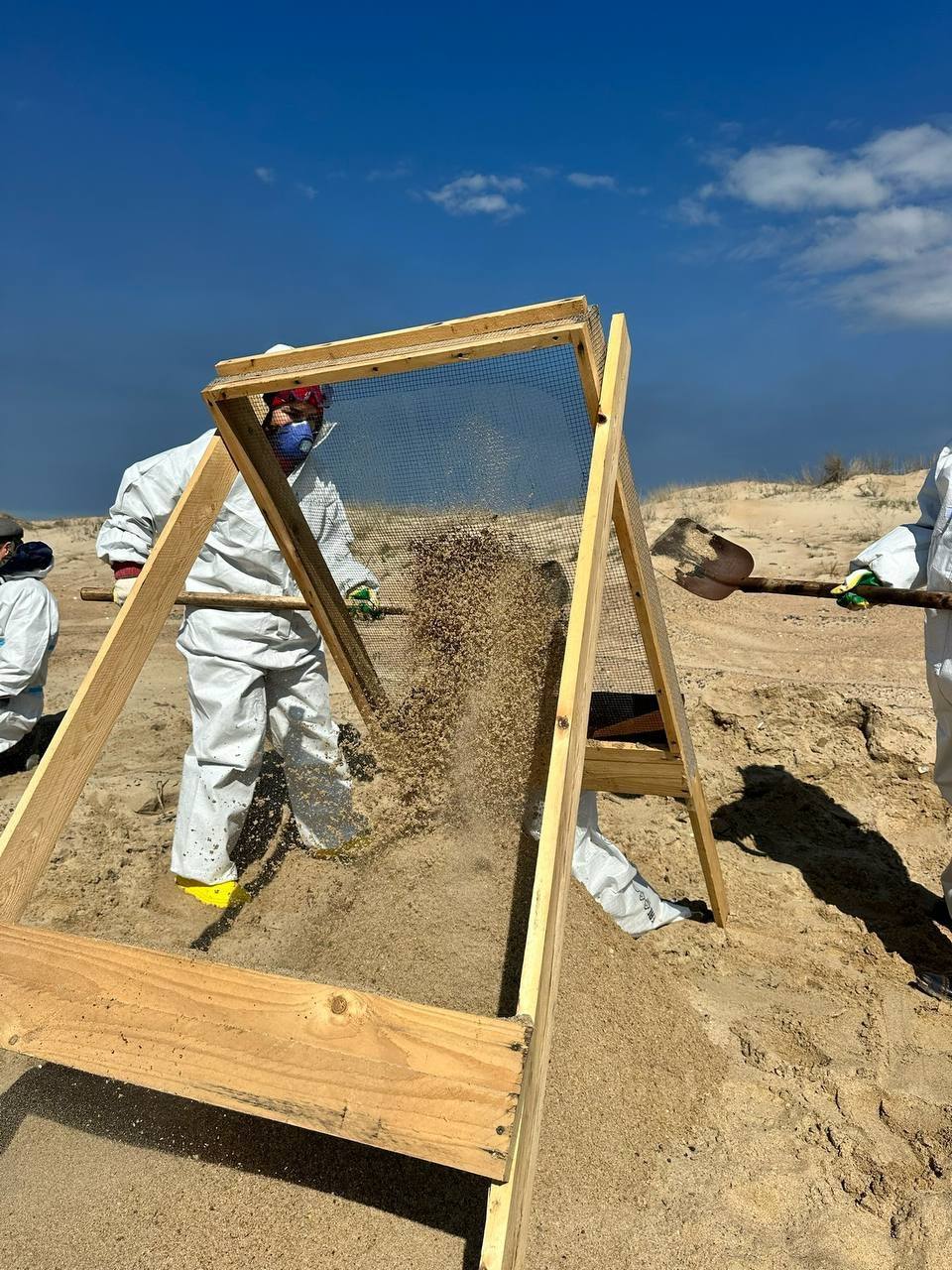 Алексей Романов: Сегодня в нашей стране отмечают День добровольца Алексей Романов: Сегодня в нашей стране отмечают День добровольца