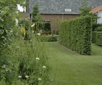 Зонирование участка растениями: 7 удивительных приемов