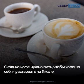 Северянам нужно выпивать две чашки кофе в день, чтобы снизить риск сердечно-сосудистых заболеваний, укрепить иммунитет и улучшить общее самочувствие
